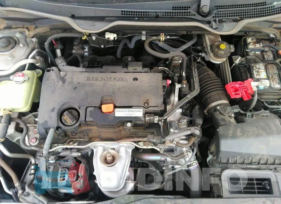 19XFC2F56GE227520 Photo# 10