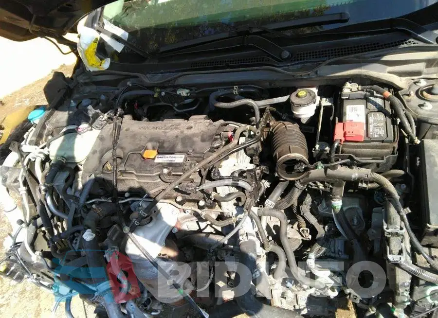 19XFC2F75JE007651 Photo# 10
