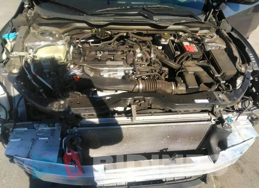 19XFC1F33JE201621 Photo# 10