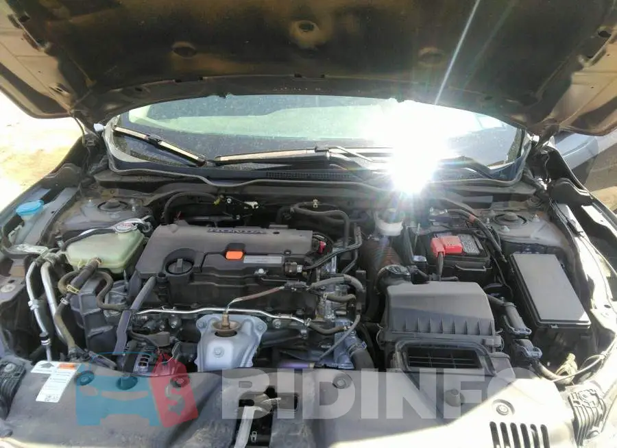 19XFC2F66LE002405 Photo# 10