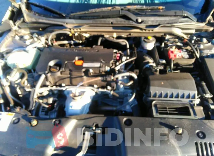19XFC2F56HE074316 Photo# 10