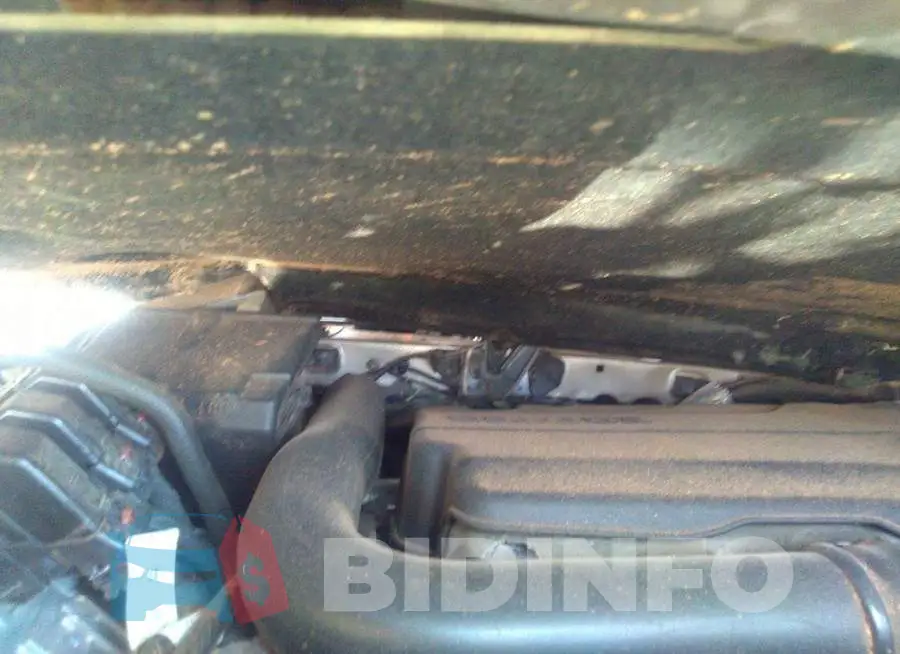 1G1ZD5ST5JF189039 Photo# 10