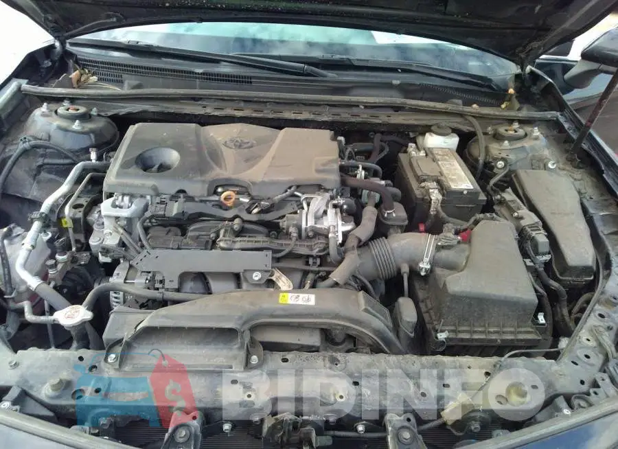 4T1C11AK2LU331834 Photo# 10