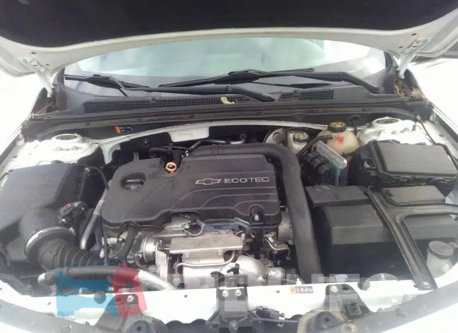 1G1ZB5ST4GF281113 Photo# 10