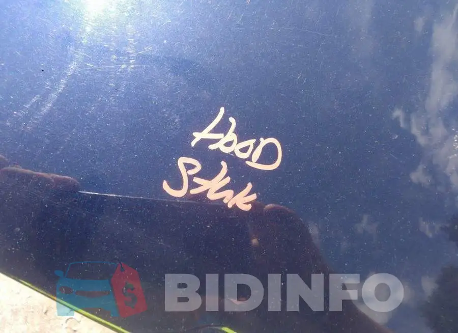 1C3CDFBB8FD129273 Photo# 10