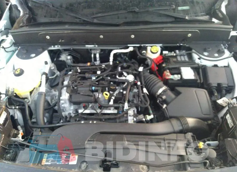 3FMCR9C62MRB33786 Photo# 10