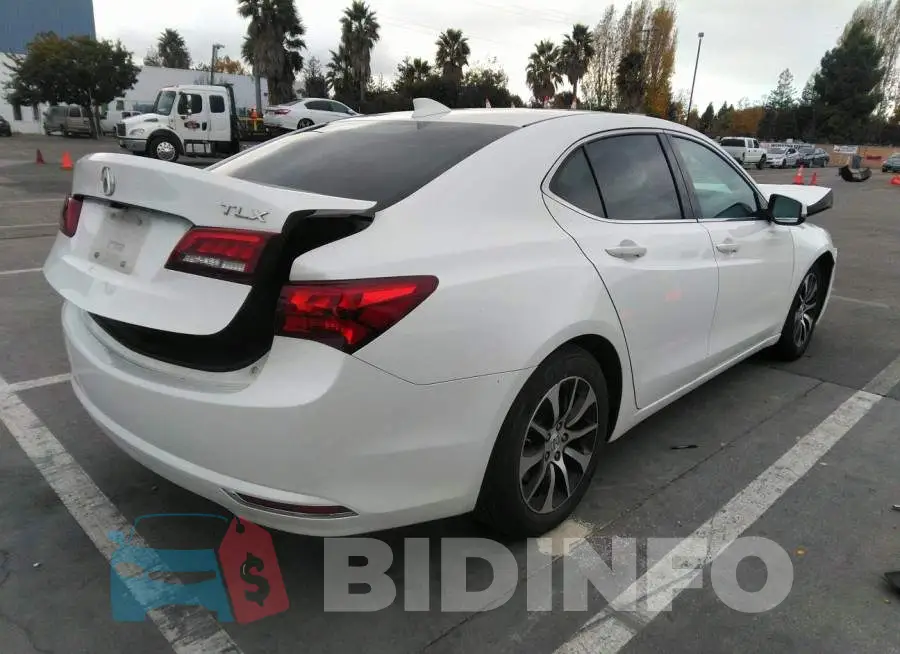 19UUB1F33FA025191 Photo# 4