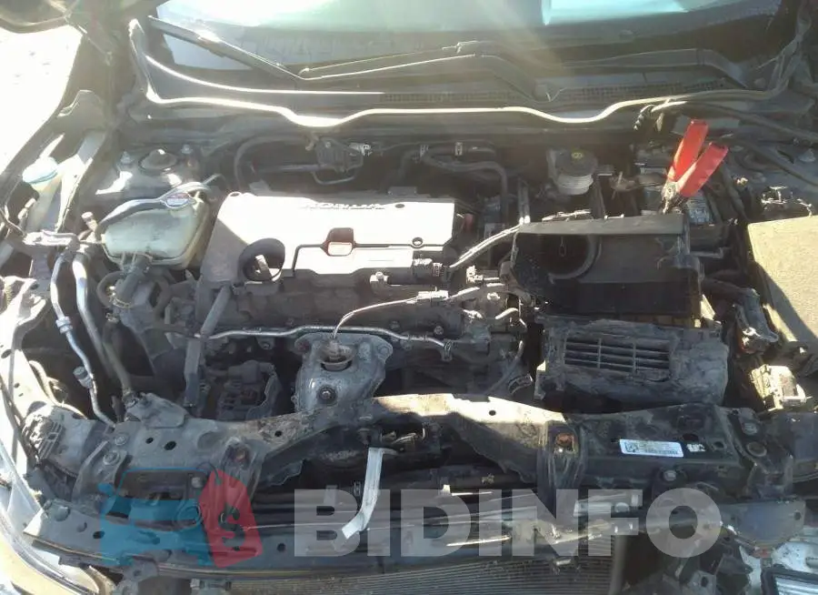 19XFC2F59GE208976 Photo# 10