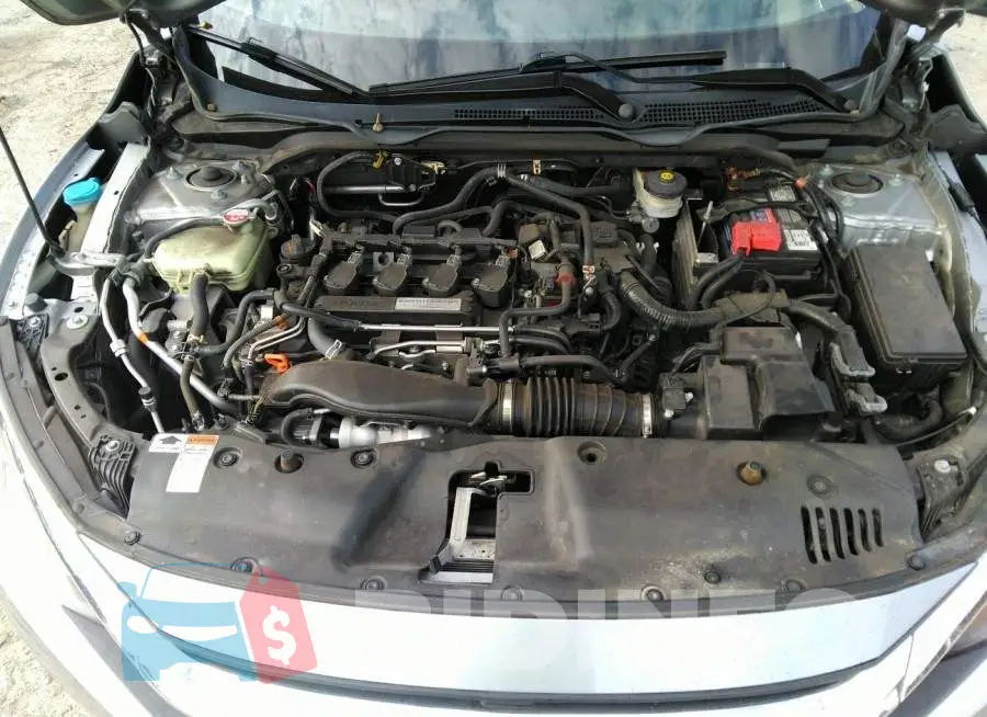 19XFC1F33GE018034 Photo# 10