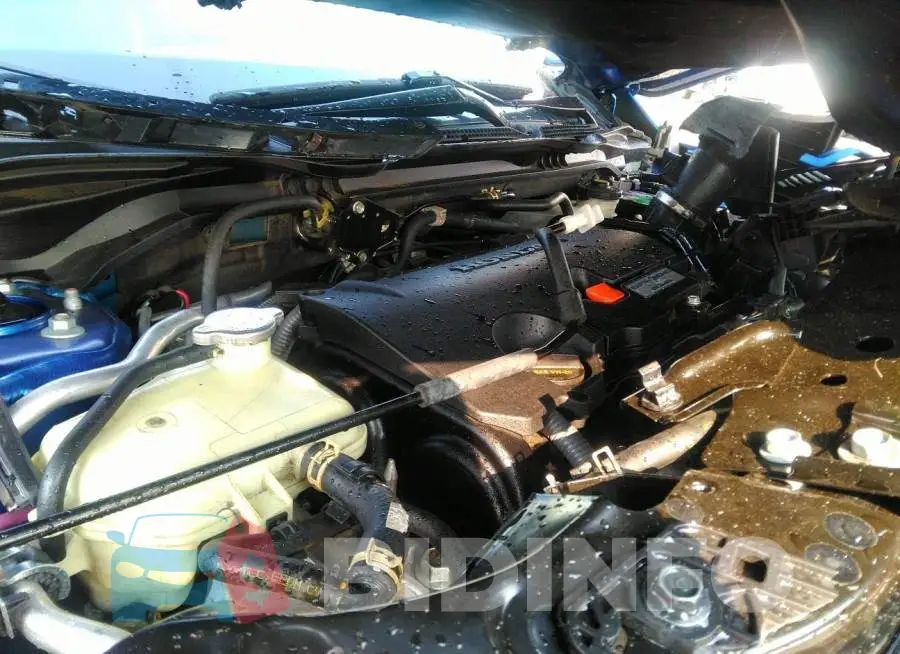 19XFC2F55GE018334 Photo# 10