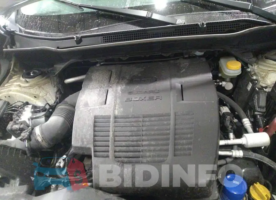JF2SKARC1MH418100 Photo# 10