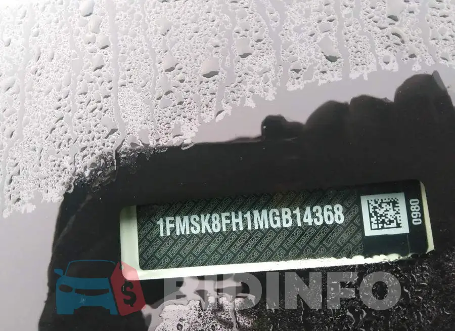 1FMSK8FH1MGB14368 Photo# 9