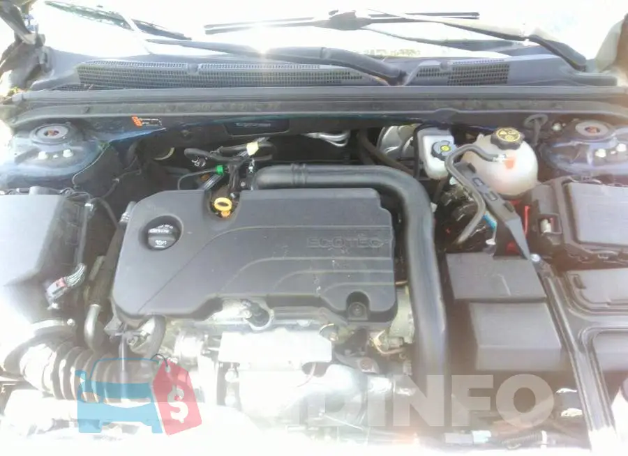 1G1ZD5ST5JF183886 Photo# 10