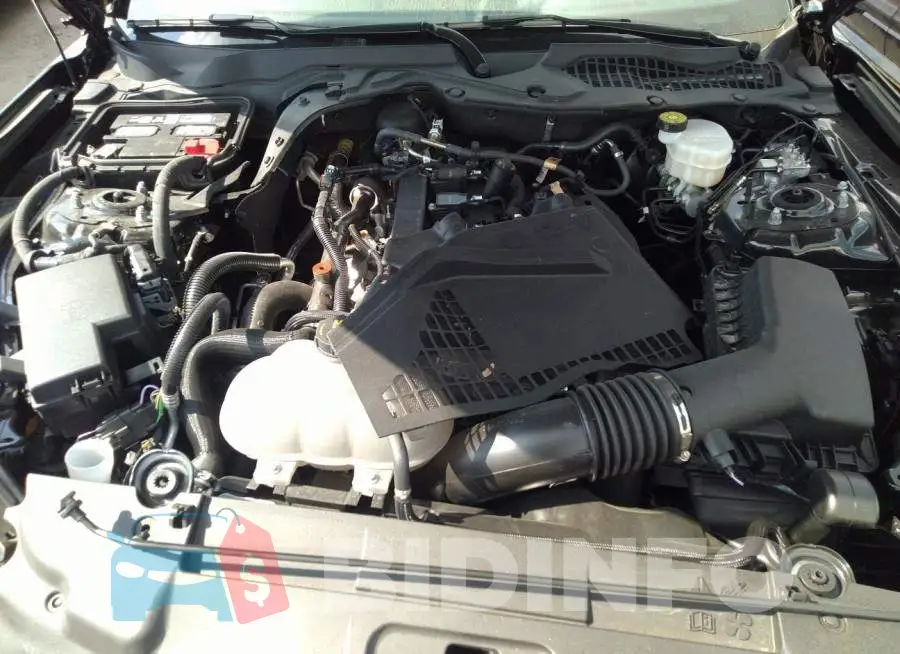 1FA6P8TH8M5142942 Photo# 10