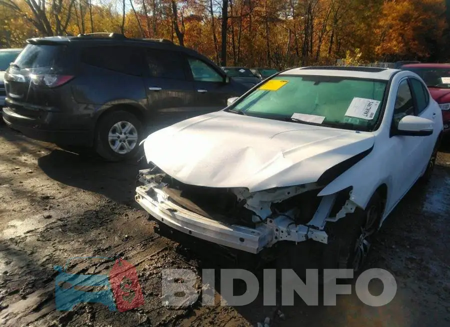 19UUB1F30FA009708 Photo# 6