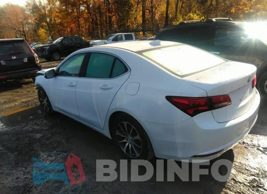19UUB1F30FA009708 Photo# 3