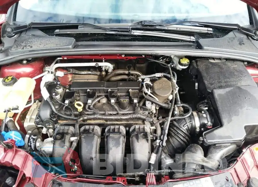 1FADP3F22GL279666 Photo# 10
