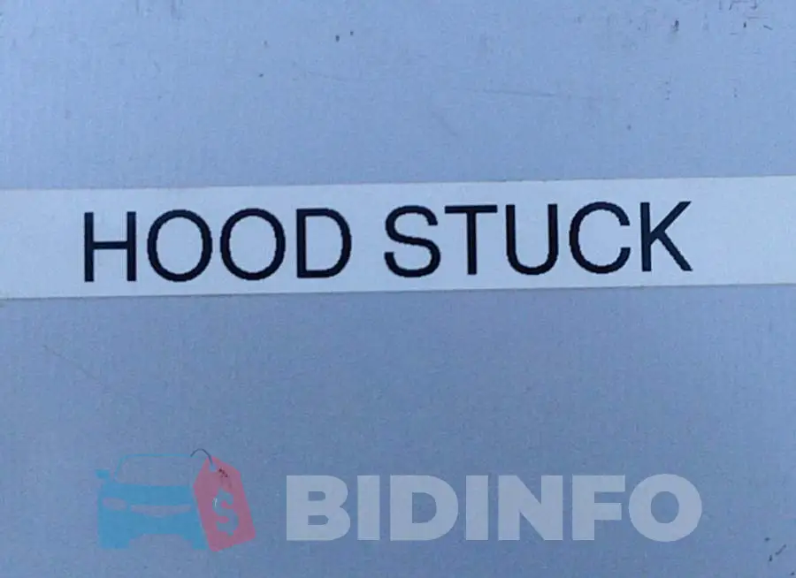 1FMCU0DG9CKC25515 Photo# 10