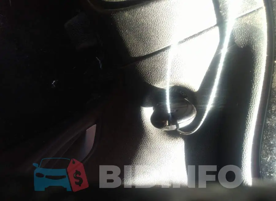 1C3CDFBB7ED702243 Photo# 11