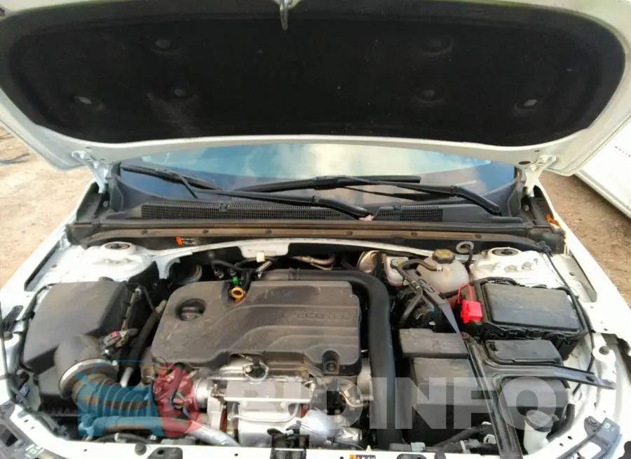 1G1ZD5ST0MF060064 Photo# 10