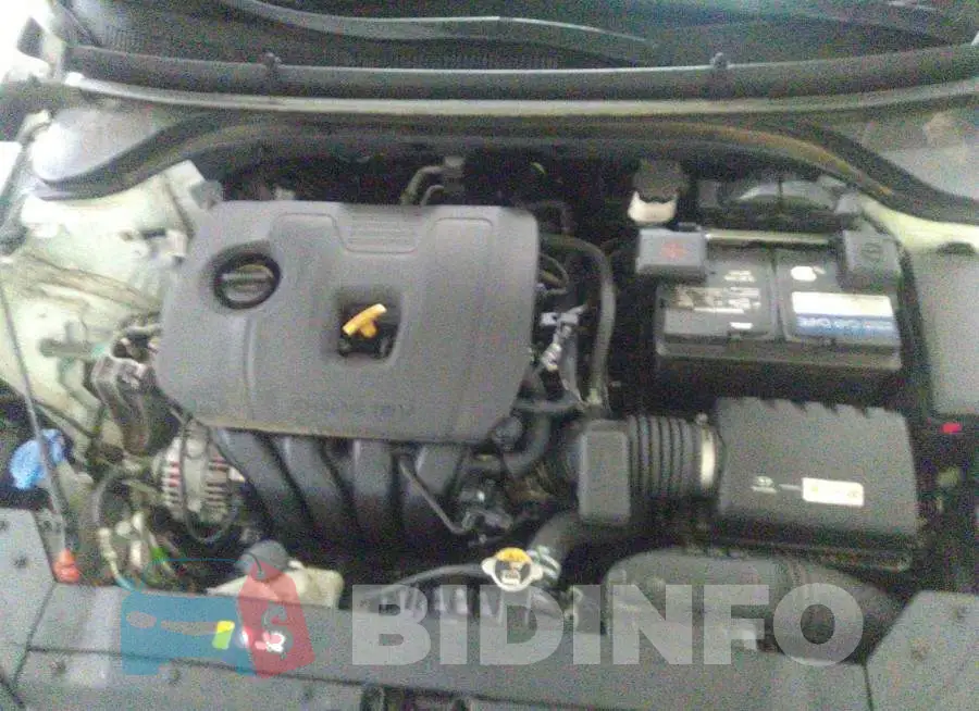 5NPD74LF5KH433484 Photo# 10
