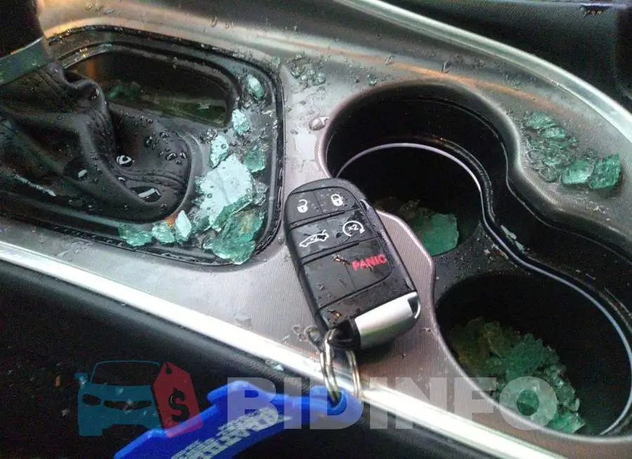 2C3CDZAG8MH572618 Photo# 11
