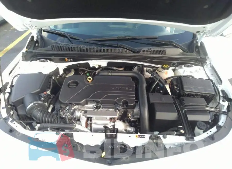 1G1ZD5ST7MF067500 Photo# 10
