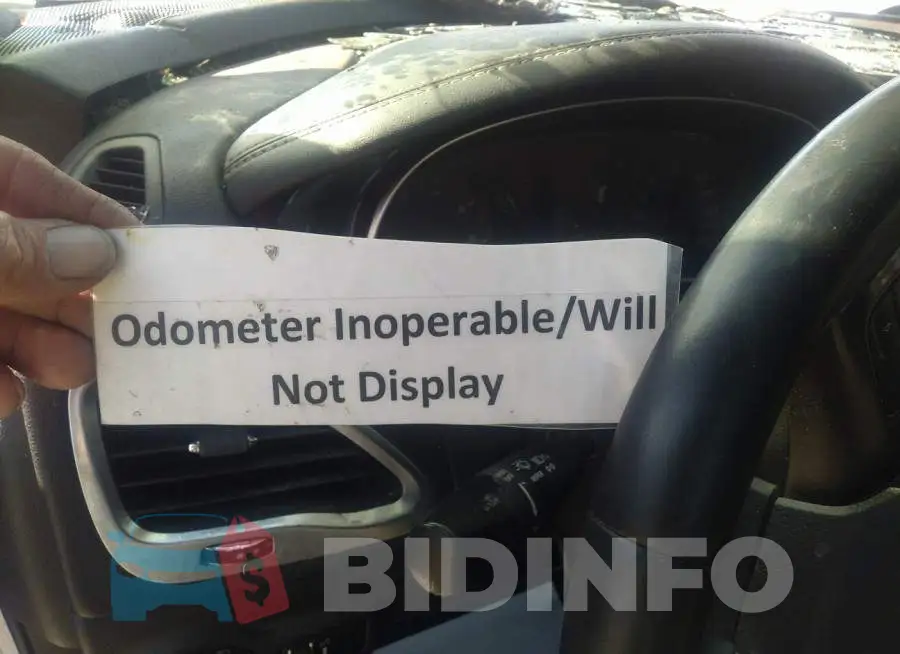 1C3CDFBB8FD141262 Photo# 7