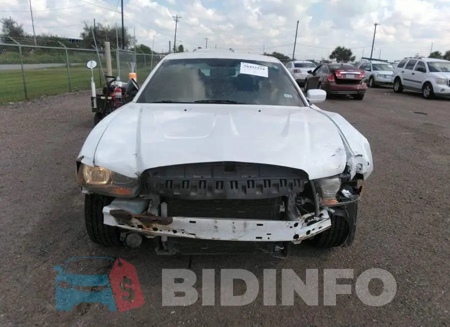2C3CDXBG4DH555169 Photo# 6