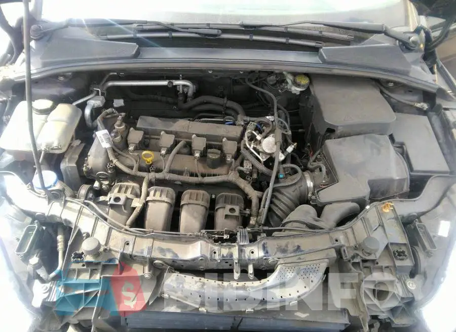 1FADP3E2XGL380567 Photo# 10