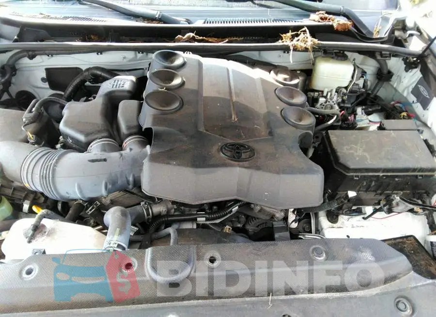 JTEBU5JR2J5589396 Photo# 10