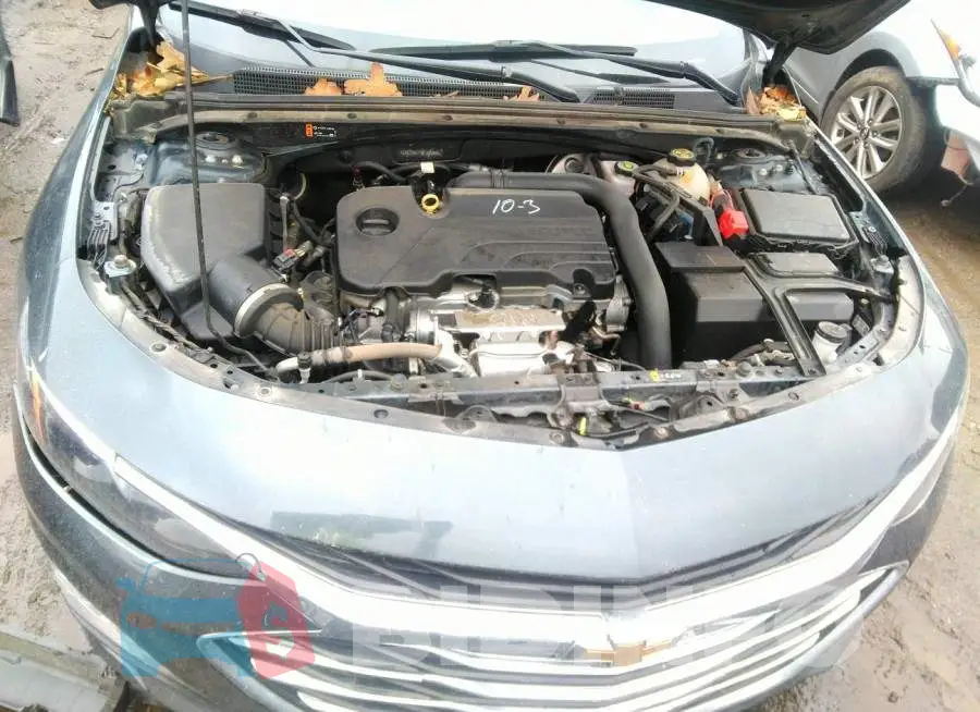 1G1ZD5ST0MF016985 Photo# 10