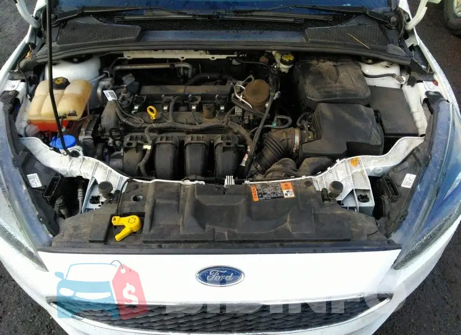 1FADP3K23FL306958 Photo# 10