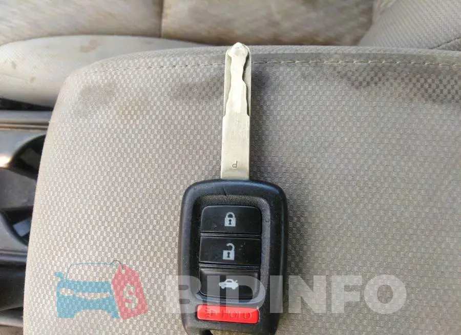 19XFB2F55FE102087 Photo# 11