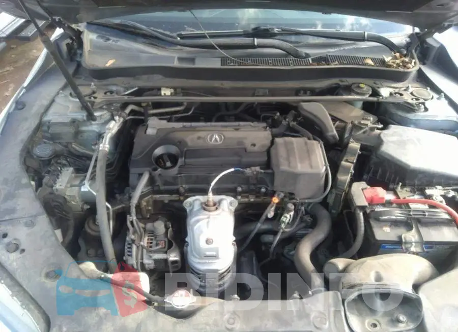 19UUB1F50FA015235 Photo# 10