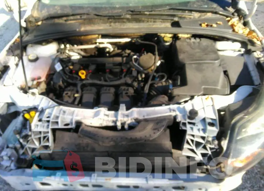1FADP3N21EL205346 Photo# 10