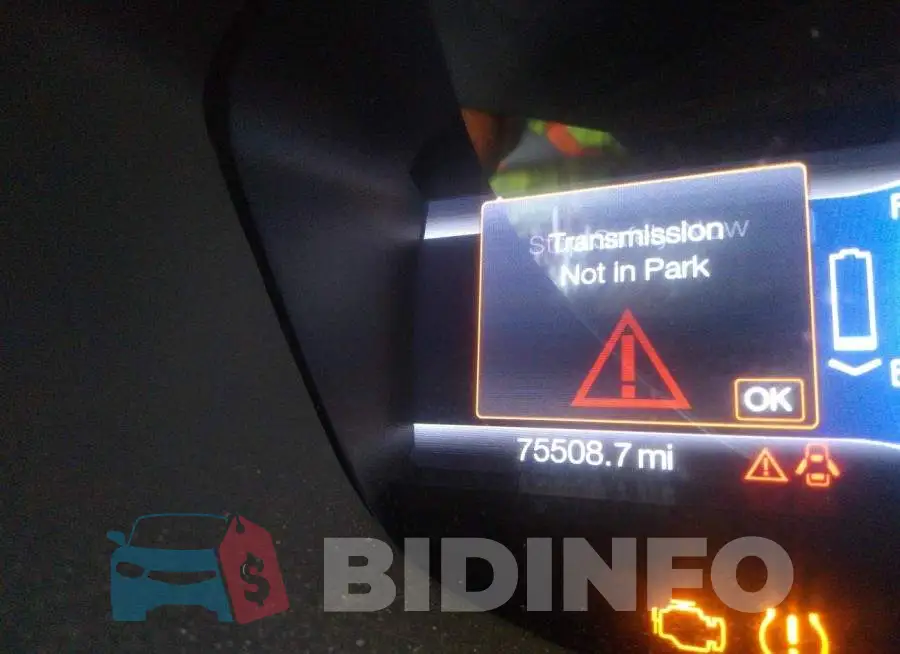 1FADP5CU4GL118334 Photo# 7