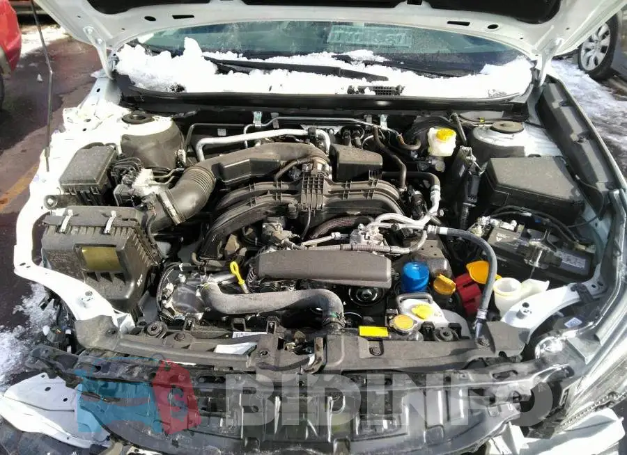 4S4BTACC7N3220040 Photo# 10