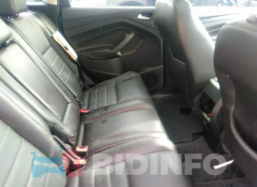 1FADP5BU6DL513984 Photo# 8