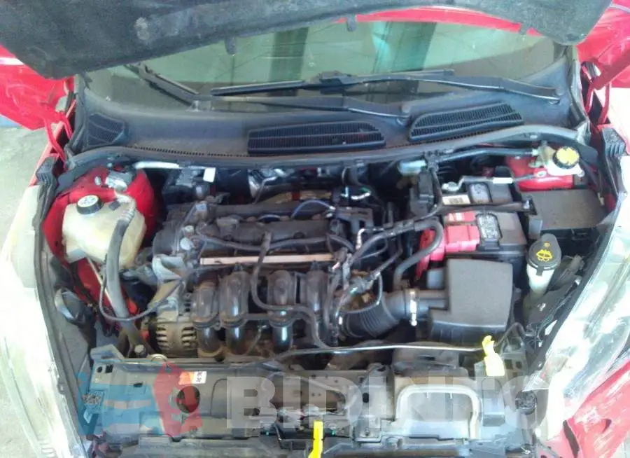3FADP4EJ1EM111396 Photo# 10