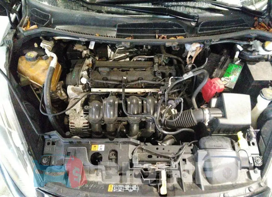 3FADP4EJ2FM178607 Photo# 10