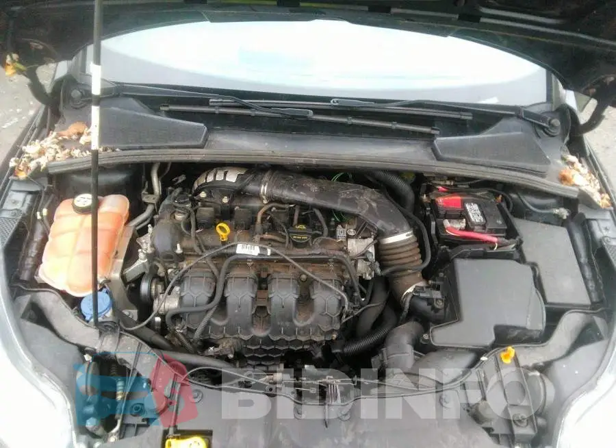 1FADP3L98DL127498 Photo# 10