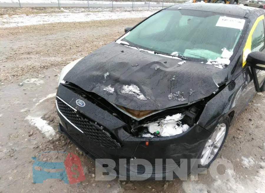 1FADP3K26FL376549 Photo# 6