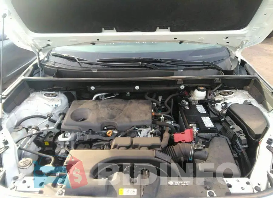 2T3F1RFV8MC143943 Photo# 10