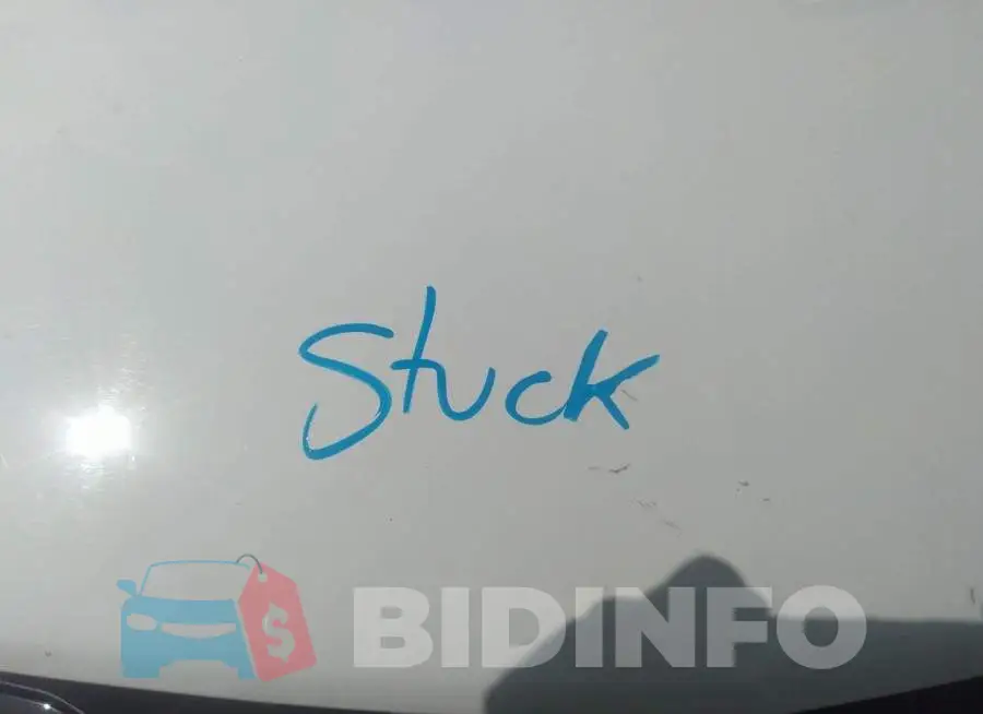 3GNCJLSB3LL234111 Photo# 10