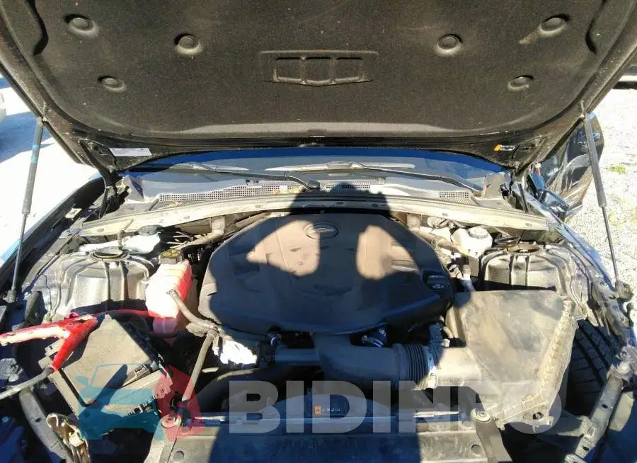 1G1FB1RS0M0103657 Photo# 10