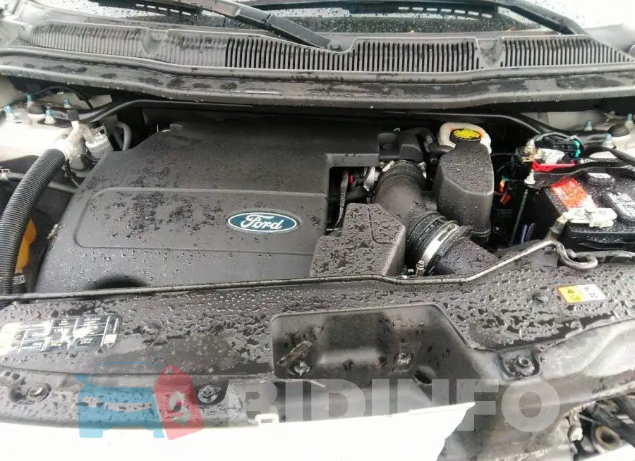 1FM5K8B81EGA41846 Photo# 10