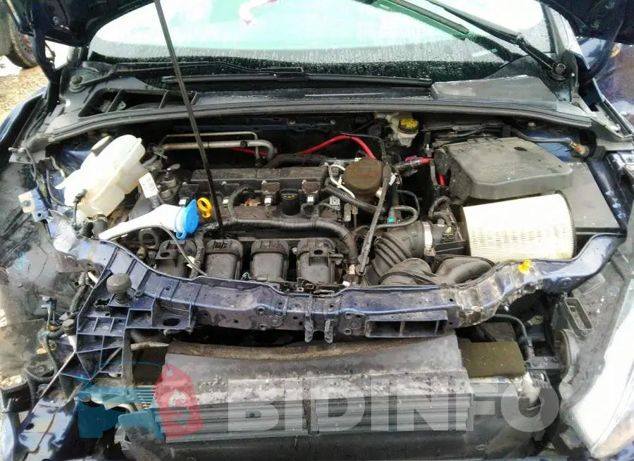 1FADP3K2XGL243892 Photo# 10