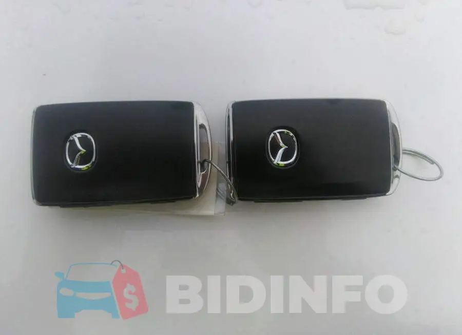 3MVDMBCL2MM219664 Photo# 11