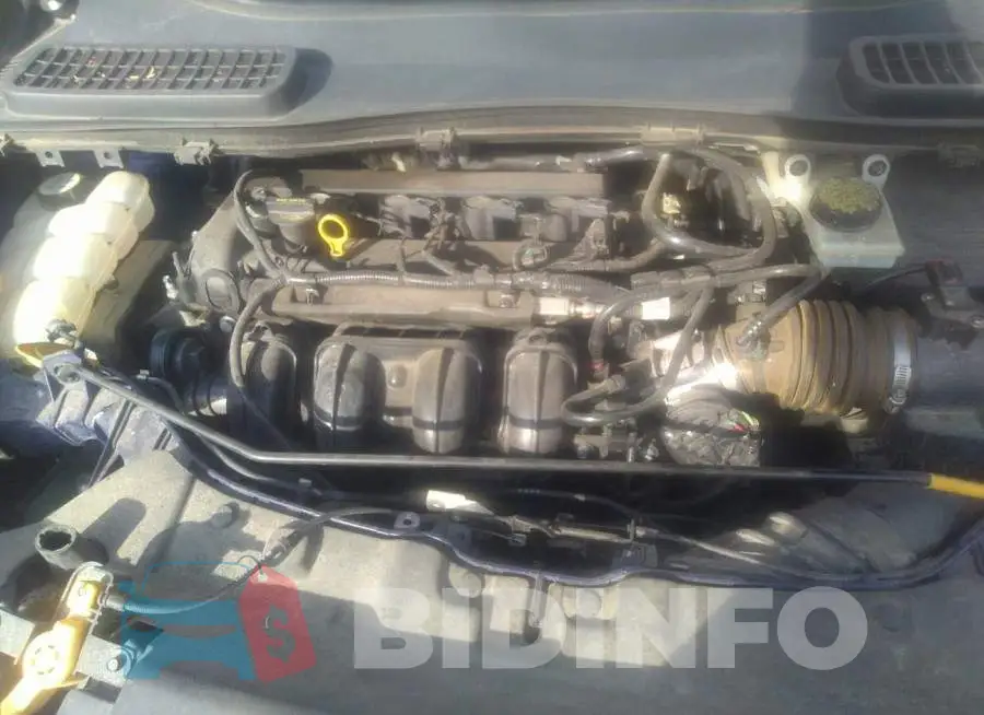 1FMCU0F79DUA20148 Photo# 9